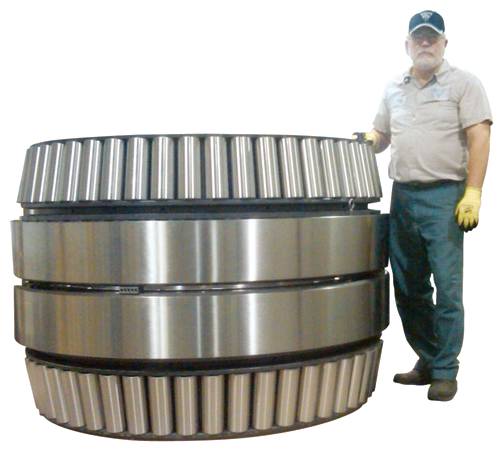 Extra Large Roller Bearings