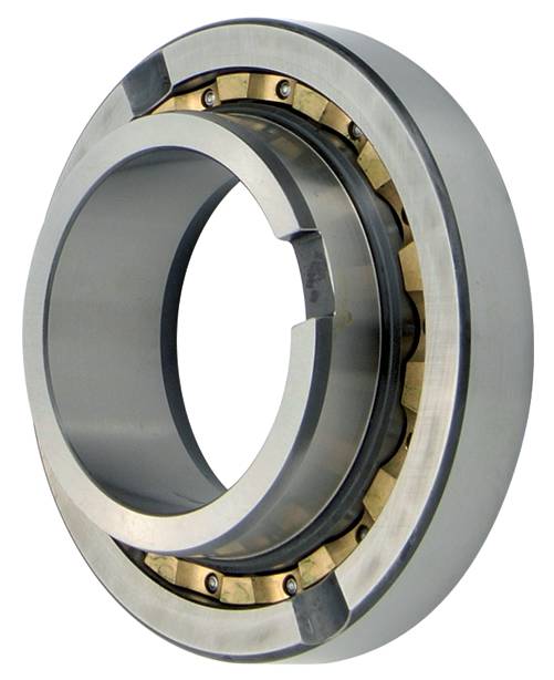 Notched Deep Groove Ball Bearing Services